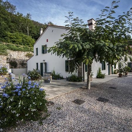 Agriturismo Le Volpi バオーネ エクステリア 写真