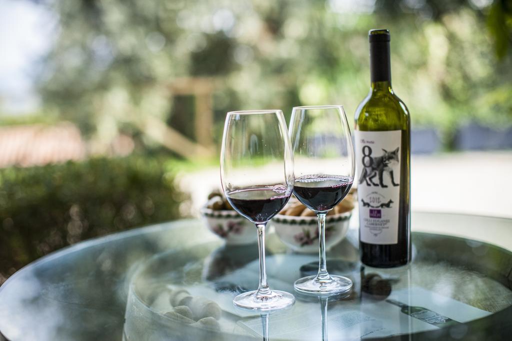 Agriturismo Le Volpi バオーネ エクステリア 写真