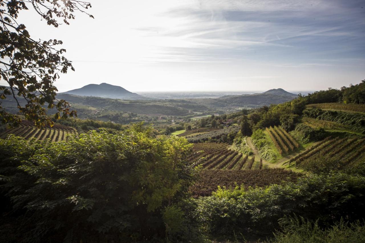 Agriturismo Le Volpi バオーネ エクステリア 写真